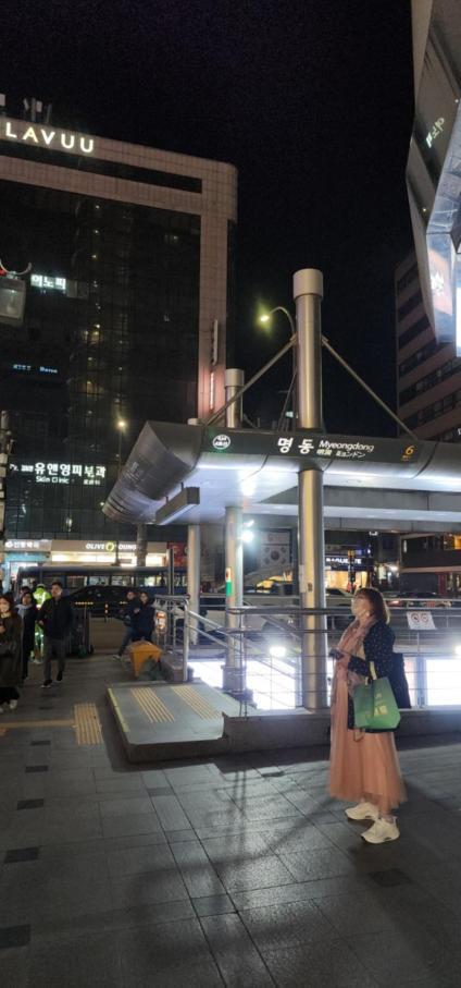 Mizo Hotel Seoul Eksteriør bilde